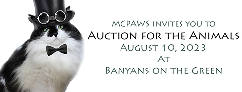 Auction for the Animals 2023